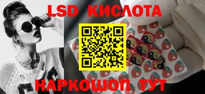 гидропоника Партизанск