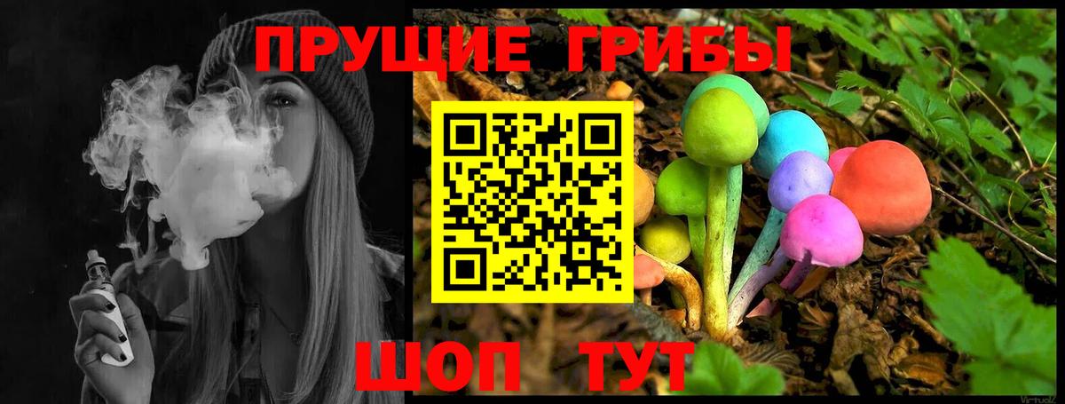 Галлюциногенные грибы мицелий  Вход с VPN  Сокол 