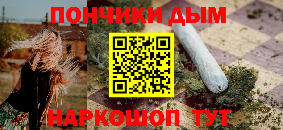 Конопля сатива Сокол